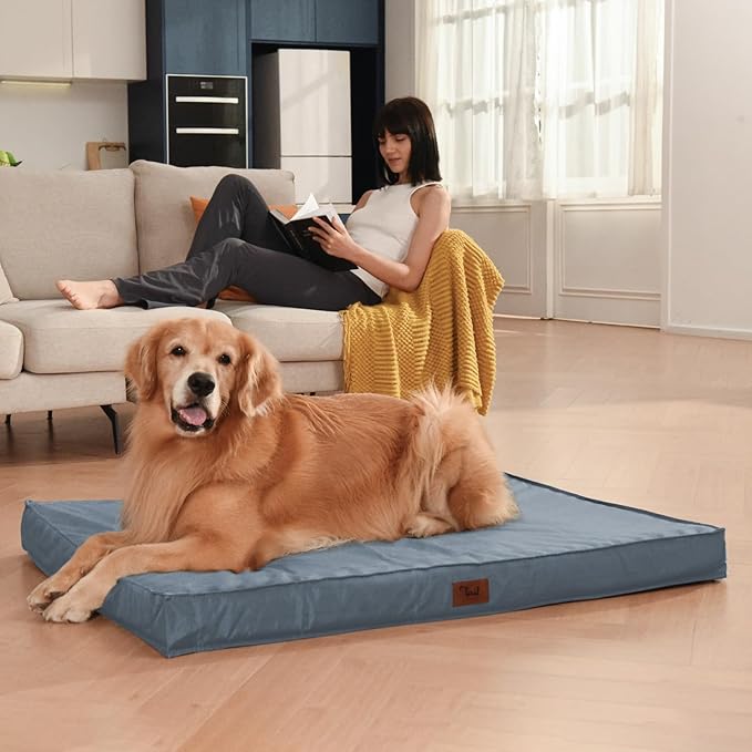 Outdoor Orthopedic Dog Bed for Medium Dogs & Cats, Waterproof Flat Pet Mat with Egg Crate Foam & Washable Removable Oxford Cover, 30x20 Inch, Blue