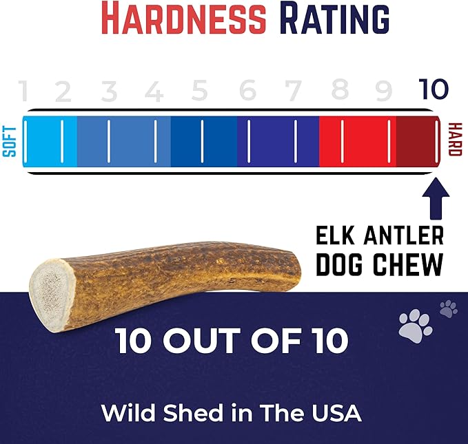 Devil Dog Pet Co - Elk Antler for Dogs Small 2 Pack - Long Lasting Dog Chew for Aggressive Chewers & Toy Breeds - Naturally Shed Grade A Rocky Mountain Elk, Anxiety & Boredom Relief (Up to 20 lbs)