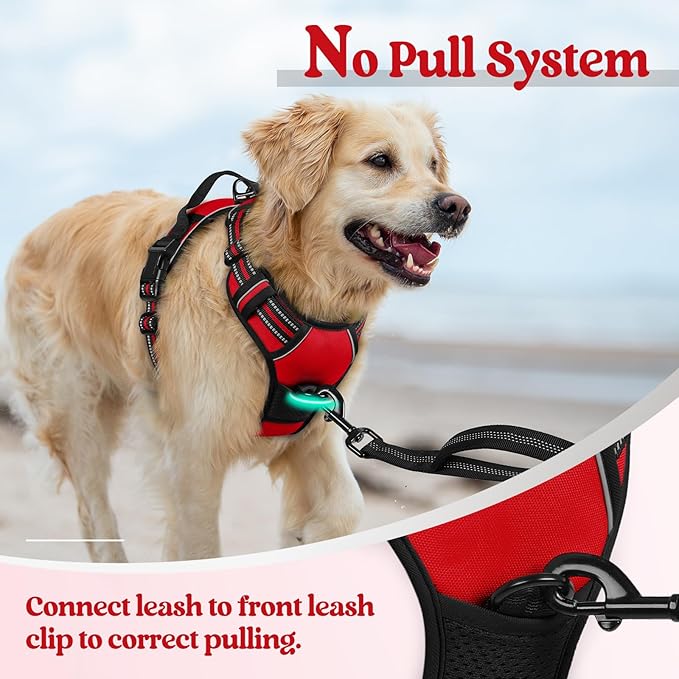 rabbitgoo Dog Harness No Pull with 2 Leash Clips, Adjustable Soft Padded, Reflective Oxford No Choke Pet Vest with Easy Control Handle for Large Dogs, Red, XL