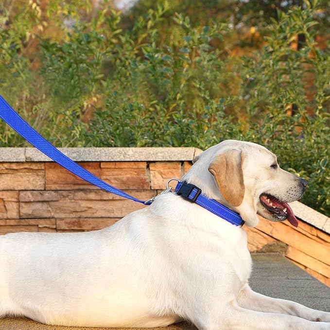 Dog Leash 6 FT Padded Handle Nylon Reflective Dogs Leashes for Small Dogs Blue