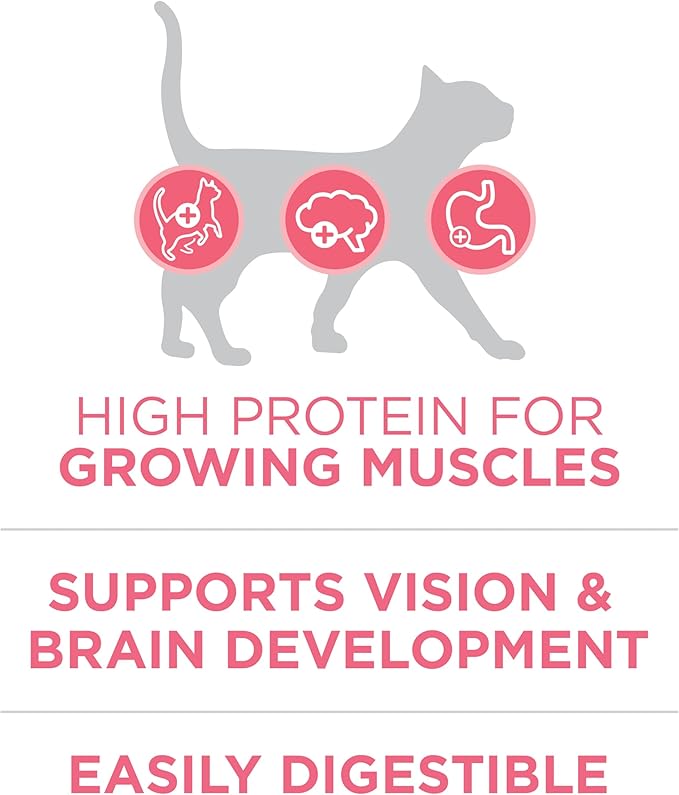 Purina ONE High Protein, Natural Dry Kitten Food, +Plus Healthy Kitten Formula - 16 lb. Bag