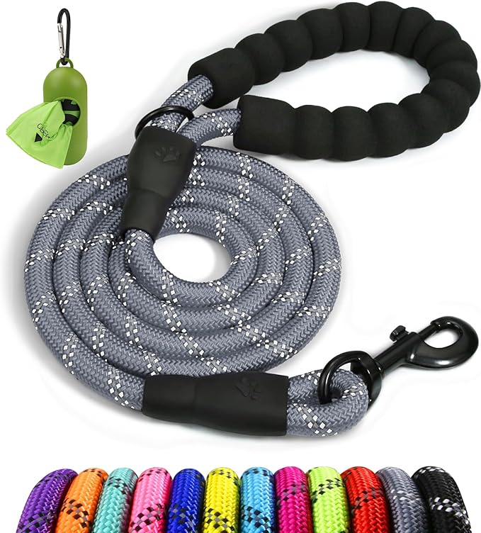 Taglory Rope Dog Leash 6FT with Comfortable Padded Handle, Highly Reflective Threads Leash for Small Dogs, 3/8 inch, Grey