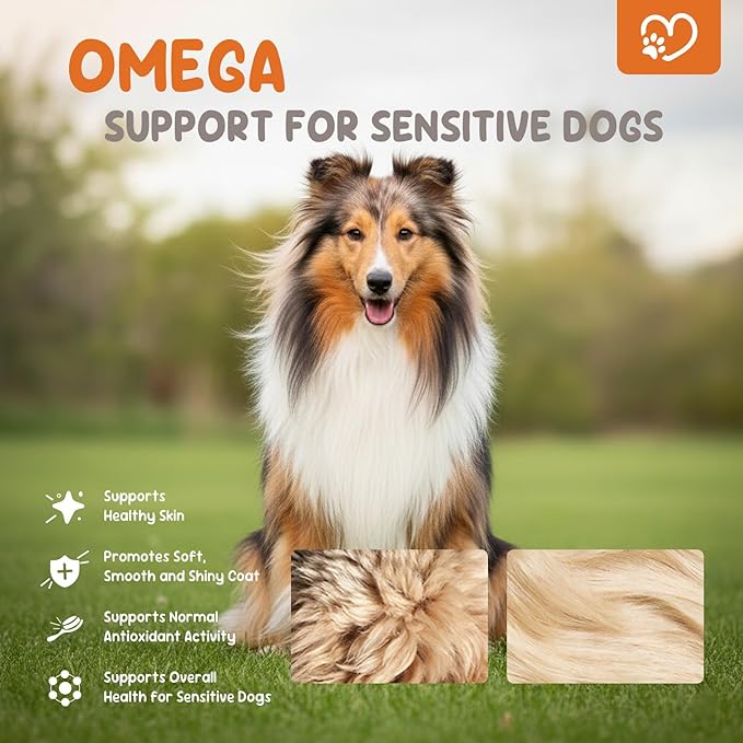 Omega 3 Fish Oil 200 Soft Chews for Dogs with Algae Omega-3, Salmon Oil, Kelp & Biotin | Skin & Coat Support, Comfort for Itchy Skin & Immune Support