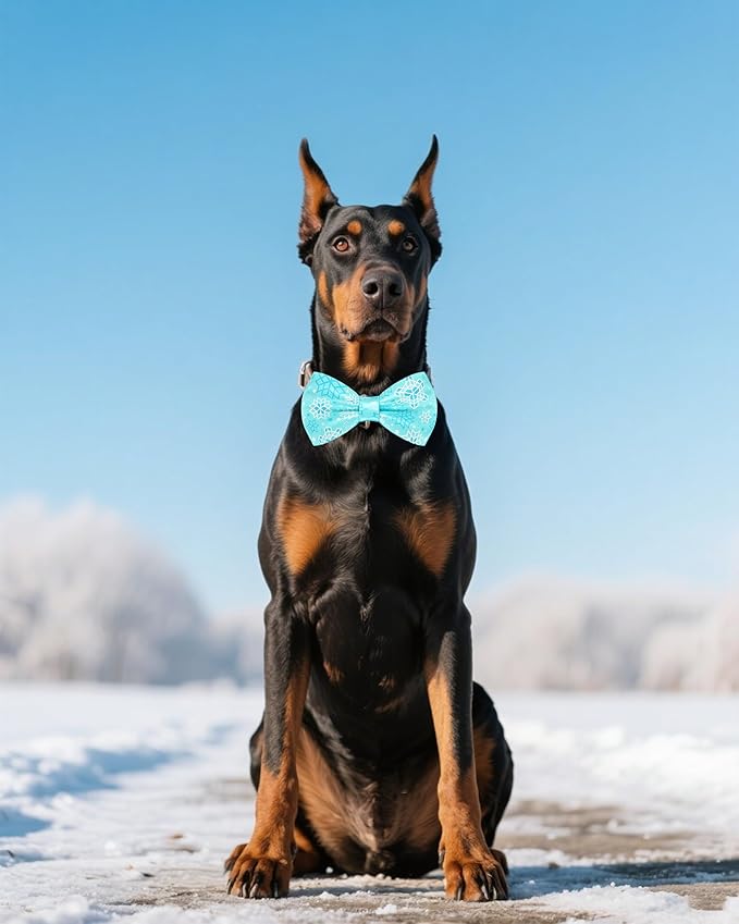 PET SHOW 10 Pack Winter Big Dog Bow Ties for Large Medium Dogs Sliding Collar Attachments Snowflake Bowties Snowman Bowknots Holiday Party Pet Grooming Accessories(Large)