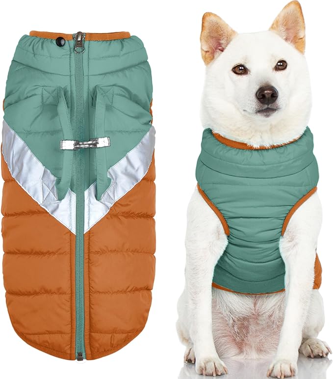 Gooby Mountaineer Dog Jacket - Jade, Small - Warm Zip Up Coat with Lift Handle and Dual O Ring Leash Water Resistant for Small to Medium Dogs