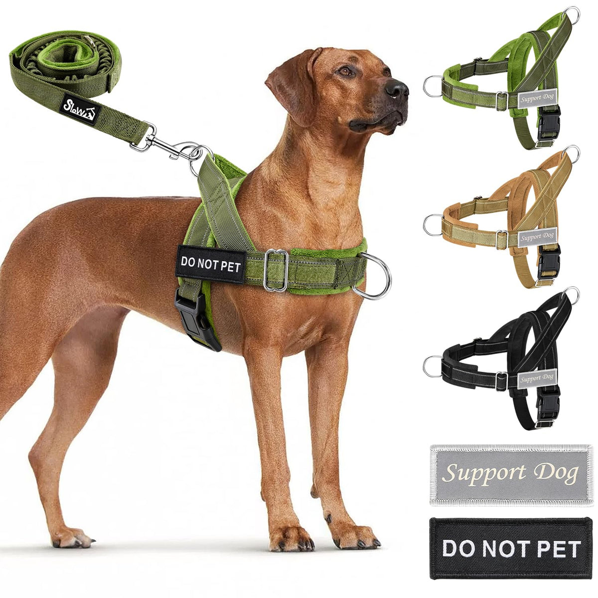 SlowTon No Pull Dog Harness and Leash Set - Heavy Duty - Image 1