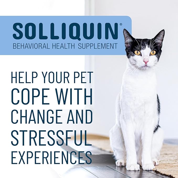 Nutramax Solliquin Calming Behavioral Health Supplement for Small to Medium Dogs and Cats - With L-Theanine, Magnolia / Phellodendron, and Whey Protein Concentrate, 75 Soft Chews
