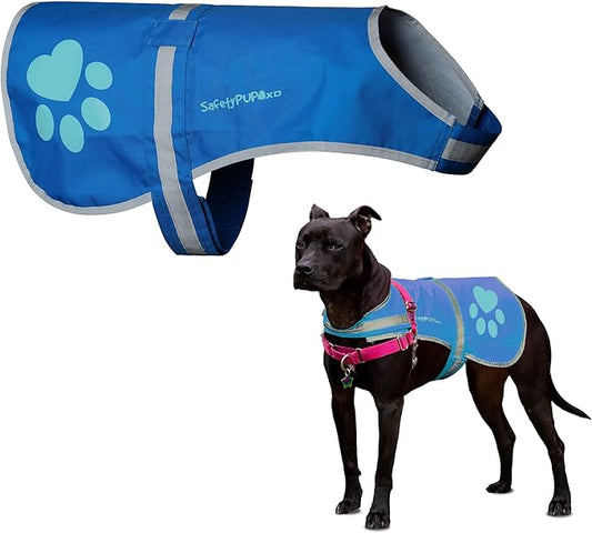 SafetyPUP XD Dog Reflective Vest – Hi-Vis Fluorescent Visibility That Helps to Safeguard Your Pet On/Off Leash in Urban & Rural Areas (Blue, X-Large)