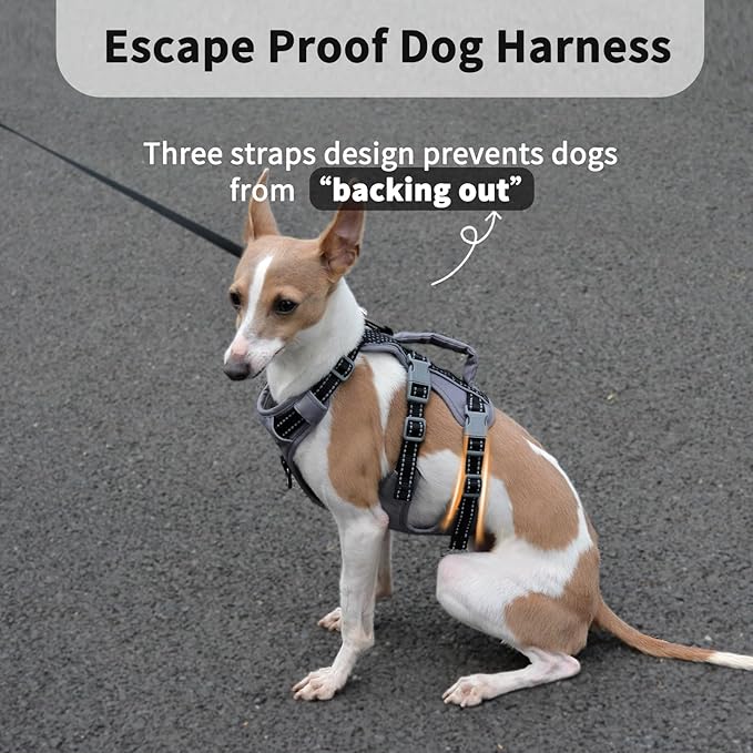 Huntboo Reflective Dog Harness with Handle, Escape Proof, No Slip, Breathable, Lightweight, Adjustable Lift Harness for Small, Medium, and Large Dogs Walking, Training, and Running Gear(Black,M)