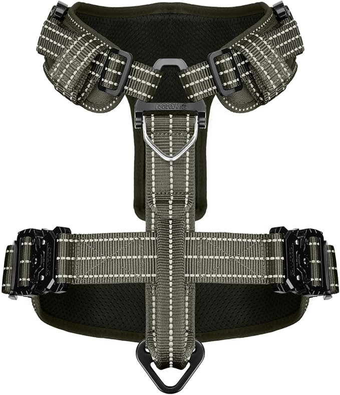 ICEFANG Dog Strap Harness with 4 x Metal Buckles,for Large Sized Dog,K9 Vest,Y-Shape Chest,Adjustable Pet Harness,No-Pull Front Leash Clip (Large (Pack of 1), Green)