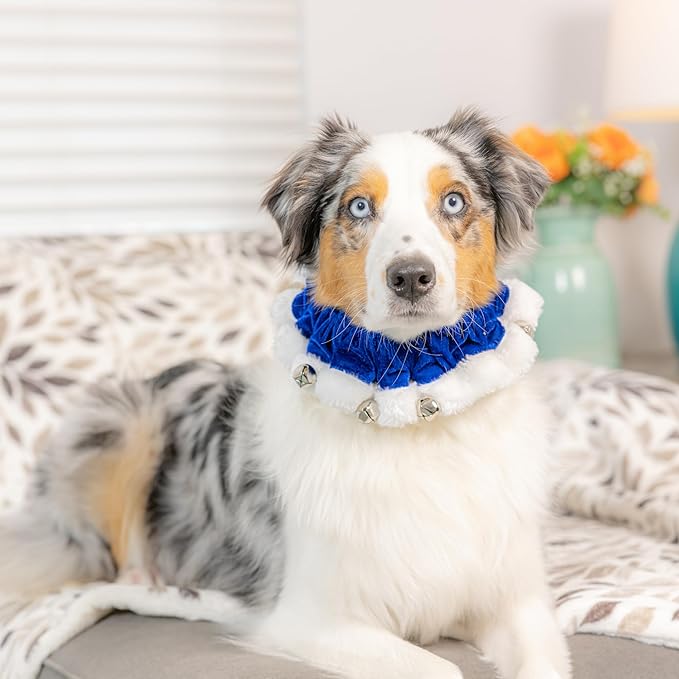 Huxley & Kent Ruff Pet Scrunchy | Hanukkah (Extra-Small) | Festive Christmas/Holiday Neckwear for Dogs/Cats | Fun Stretchable Costume Accessory | Soft Collar with Bells