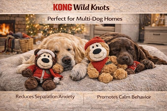 Wild Knots Bear Plush Squeaker Toys 2-Pack — Internal Rope, Minimal Stuffing, Medium Dogs