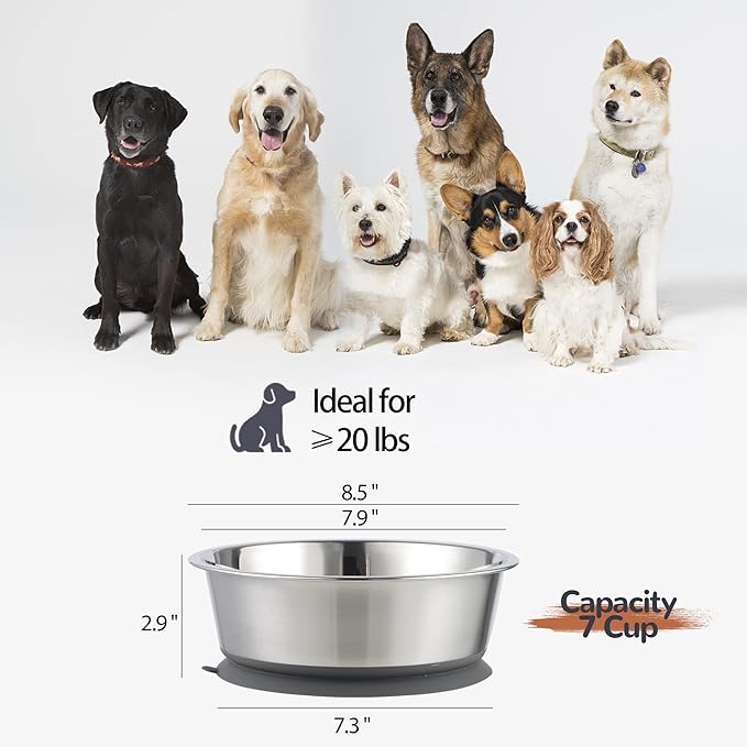 Nicelock Stainless Steel Dog Bowl | Set of 2, Metal Dog Bowls with Suction Base, Rubber Bottom & Premium Material & Easy Clean (Gray-2 Pack)