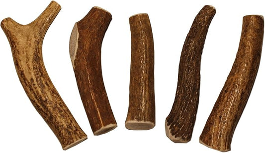 Small Whole 5 Pack (for 10-30 lb Dogs and Puppies) Premium Grade Elk Antlers for Dogs (5 Pieces) Sourced in The USA