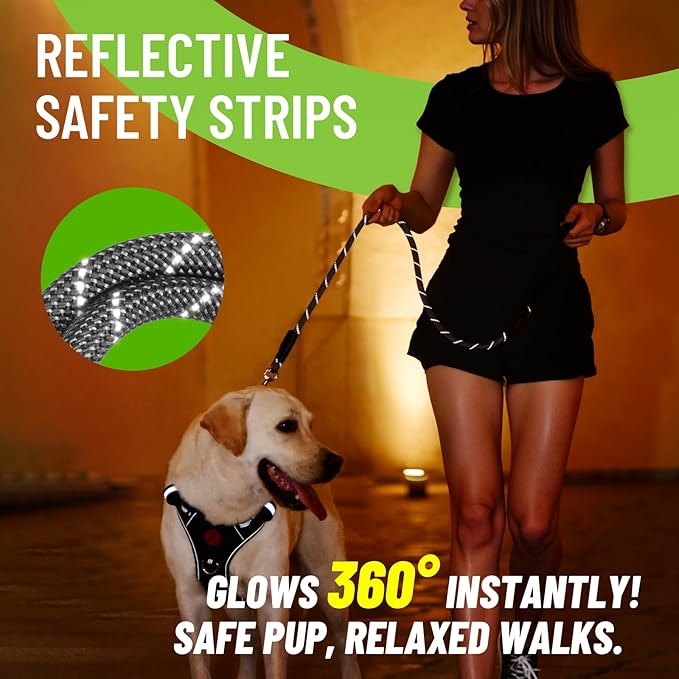 Black Heavy Duty Reflective Nylon Dog Leash with 200kg Pull Control, Padded No-Slip Handle & Zinc Alloy Lock for Medium to Large Dogs & Large Breeds, Ideal for Night Walking & Daily Training