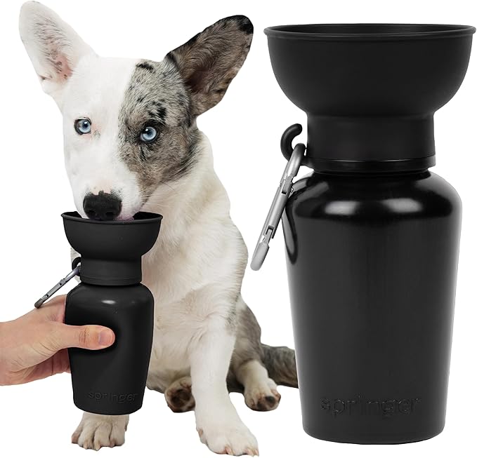 Springer by Springland Flip Portable Dog Water Bottle with Foldable Food Grade Silicone Bowl - 20 Ounce Travel Dog Water Bottle Ideal for Camping - Easy Squeeze Hydration & Release to Drain