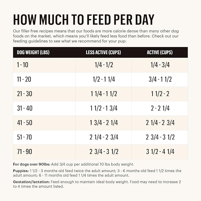 The Honest Kitchen Whole Food Clusters Grain Free Chicken Dry Dog Food, 1 lb Trial Pouch (Pack of 2)