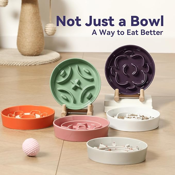 Ceramic Slow Feeder Dog Bowl - Feeding Dish for Fast Eaters - Maze Dog Bowl to Slow Down Eating - Ideal Food Control Dish for Small Breeds - 0.8 Cups (80g) - 6.3 Inch - White