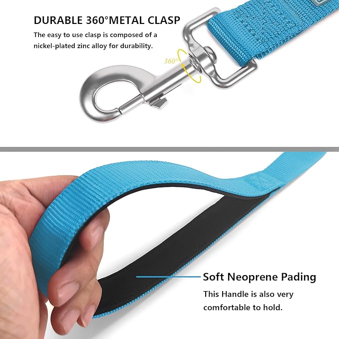 Basic Dog Leashes 6 FT Padded Handle Nylon Dogs Leashes for Small Dogs Light Blue