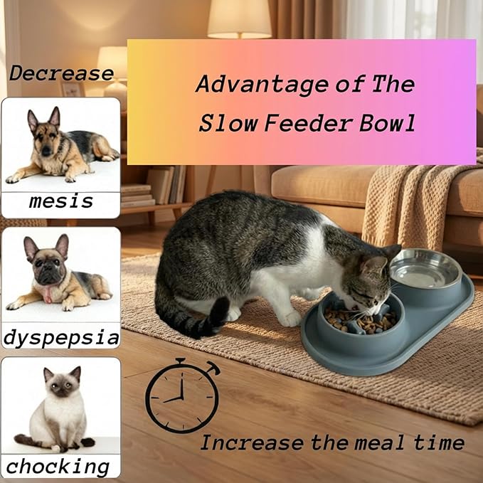 Slow Feeder Dog Bowls 2-in-1 Non-Spill - Anti-Slip Puzzle Feeder Dog Bowl with Stainless Steel Water Bowl, Dual Pet Food & Water Bowl Set for Bloat Prevention for Puppies Cat & Large Dogs