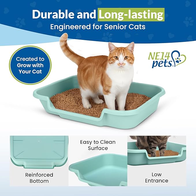 KittyGoHere Senior Cat Litter Box, Large Litter pan, Open Top Low Entrance Kitty Litters Box, Lightweight Low Entry Litter Box, Durable, Made in USA (2 Pack - Apple Green)