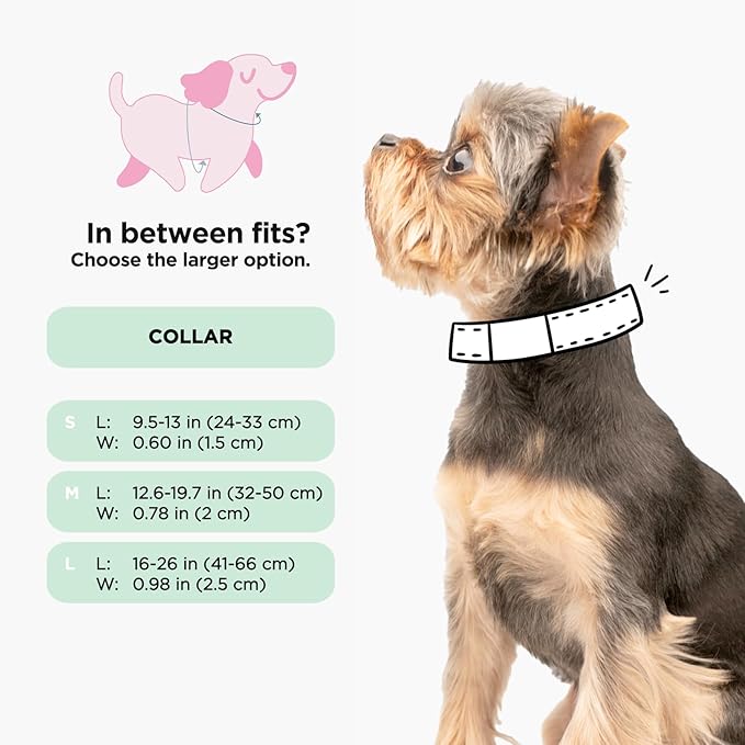 Sassy Woof Dog Collar Disney Princess Little Mermaid Ariel - L, Adjustable, Durable, Comfortable and Stylish Pet Accessories for Large Dogs - Officially Licensed