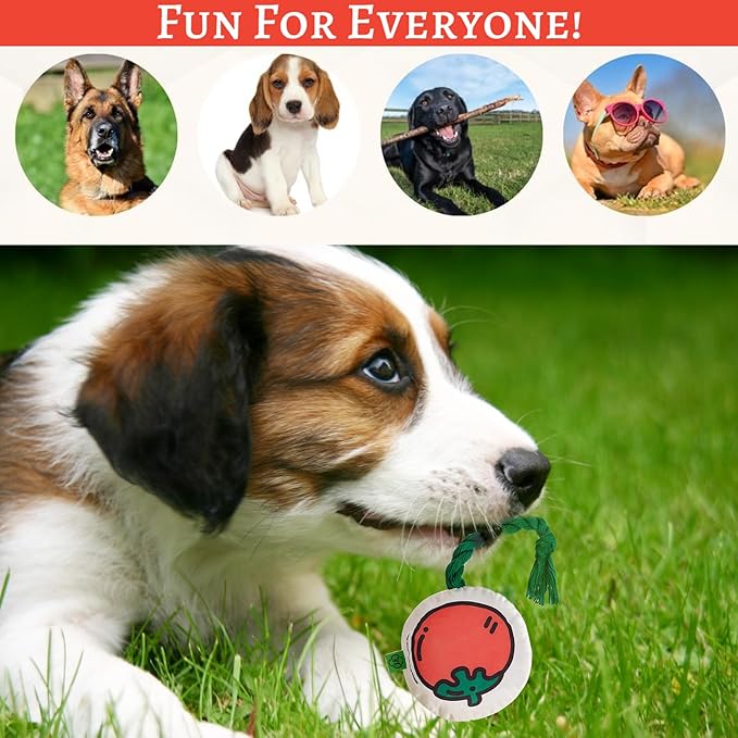 Dog Toy for Anxiety Relief,Cotton Dog Squeaky Toys&Crinkle, Puppy Rope Toys with Stuffing,Buttom to Make Noise for Indoor&Outdoors,Interactive Chew Toys for All Breeds Dogs (Medium, Pumpkin)
