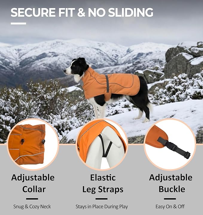 Softshell Dog Coat for Winter Walks and Hiking, Windproof and Water-Repellent Jacket with Harness Opening and Reflective Strips, Ideal Stocking Stuffer for Active Dogs (Aurantium, Large)
