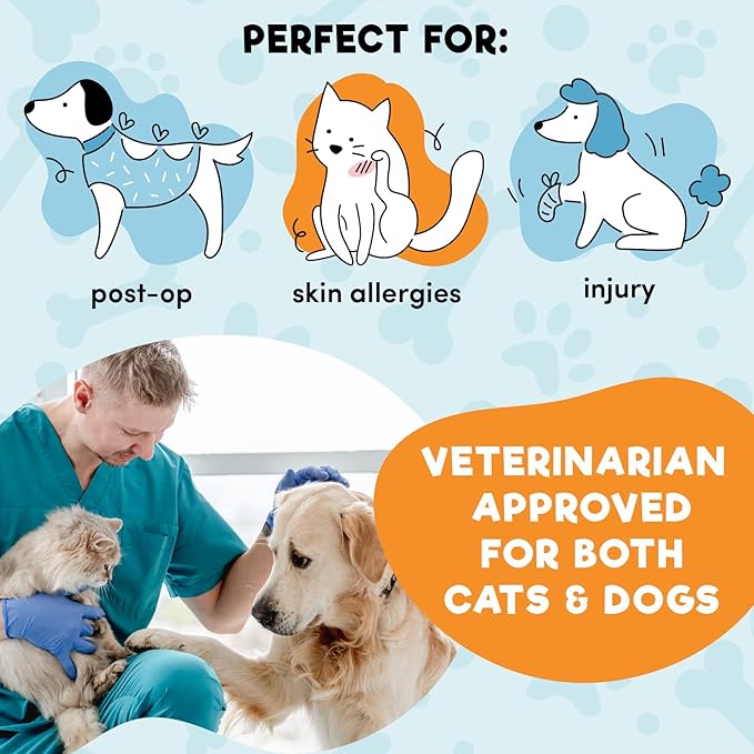 BENCMATE Inflatable Dog Cone Collar Alternative, Soft Dog Cone for Small Medium Large Dogs and Cats, Neck Recovery ECollar Donut Collar After Surgery (Medium, Constellation)