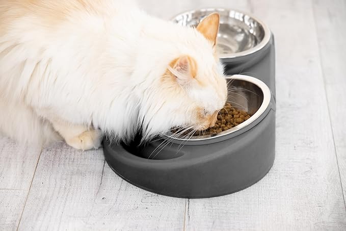 Ubbi Pet Feeding Bowls Set with Non-Slip Mat, Elevated & Flat Stainless Steel Dog or Cat Bowls, Ergonomic 15° Angled Feeder, Dishwasher Safe, Charcoal Gray