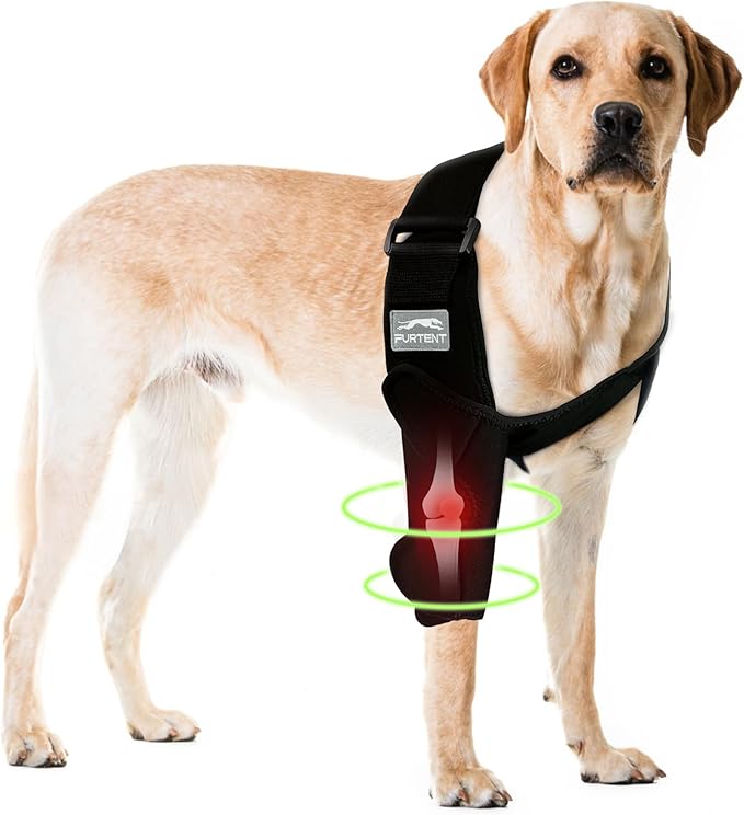 Dog Front Leg Brace for Elbow Dysplasia, Shoulder Dislocation, Hygroma, Pet Prevent Licking Wound Elbow Protector, Avoid Cone of Shame, Abrasion Resistant Dog Recovery Sleeve, M