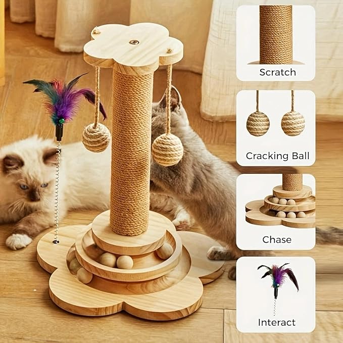Cat Scratching Post-3