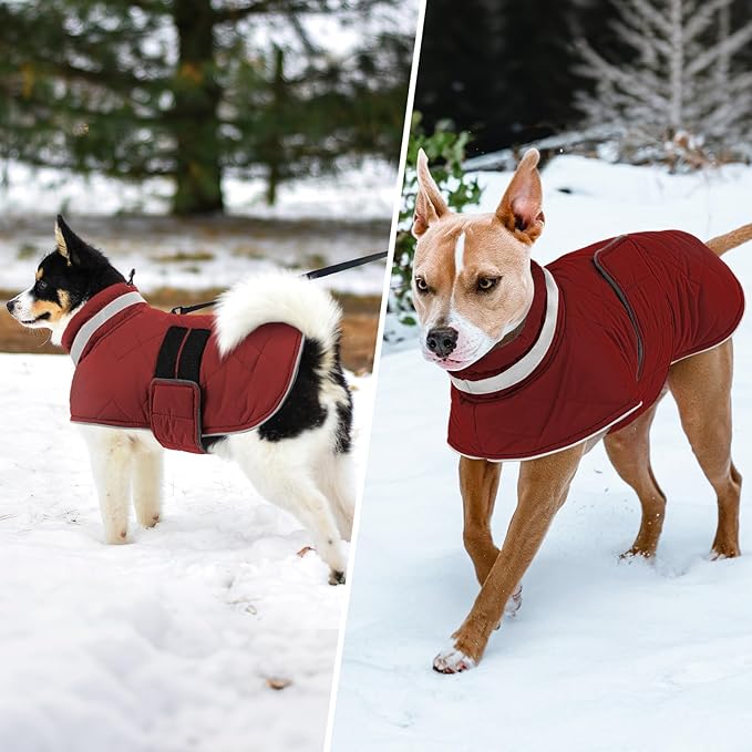 Dog Winter Coat Warm Padded Puppy Jacket Windproof Water Resistant Clothes for Small Medium Large Pets Christmas Sweater Outfit Vest(Red, M)