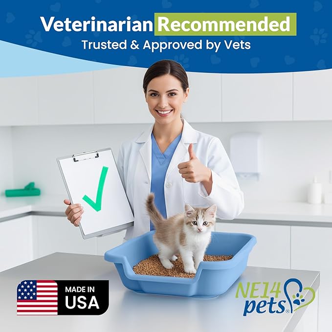 KittyGoHere Senior Cat Litter Box, Small Litter pan, Open Top Low Entrance Kitty Litter Box, Lightweight Low Entry Litters Box, Durable, Made in USA (2 Pack - Little Boy Blue)