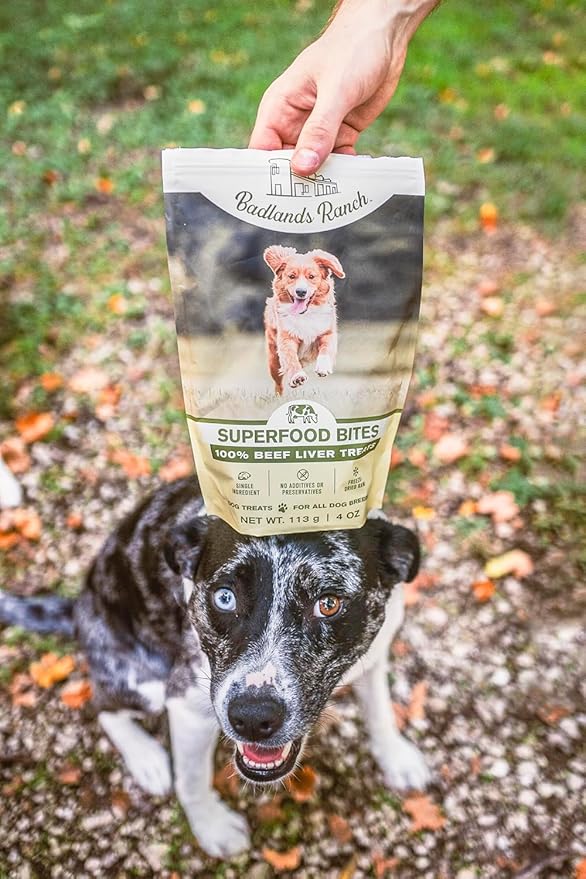 BADLANDS RANCH - Superfood Bite, Freeze-Dried Raw Dog Treats - Protein Rich, Train & Reward, Traceable Single Ingredient by Katherine Heigl (4 Ounce (Pack of 4) Beef Liver)
