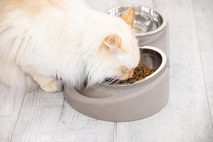 Ubbi Pet Feeding Bowls Set with Non-Slip Mat, Elevated & Flat Stainless Steel Dog or Cat Bowls, Ergonomic 15° Angled Feeder, Dishwasher Safe, Taupe