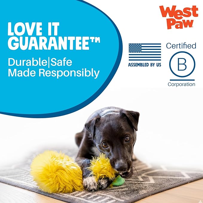 WEST PAW Rowdies Rolf Durable Plush Dog Toy with HardyTex Reinforced Seams Engaging Squeaker with Soft Cuddly Exterior Hand Sewn and Finished in Bozeman Montana for Dogs - Seafoam