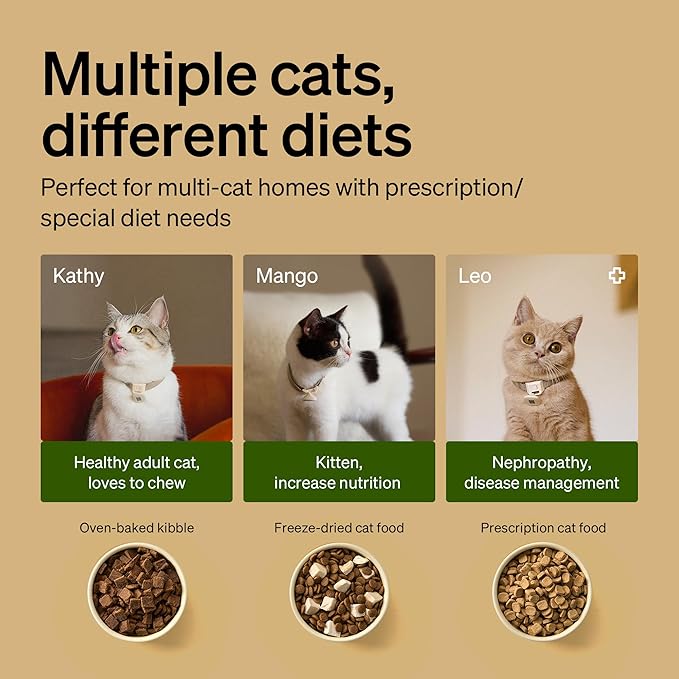 RFID Smart Cat Feeder for 3 Cats — 5G WiFi, App Control, Collar Tag Activated