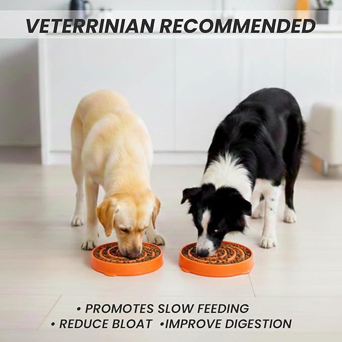 Slow Feeder Dog Bowl for Small, Medium & Large Dogs – Anti-Gulping Puzzle Maze Bowl, Non-Slip Slow Eating Dog Dish, Prevents Bloat & Improves Digestion, Interactive Pet Feeder (Orange, Small)