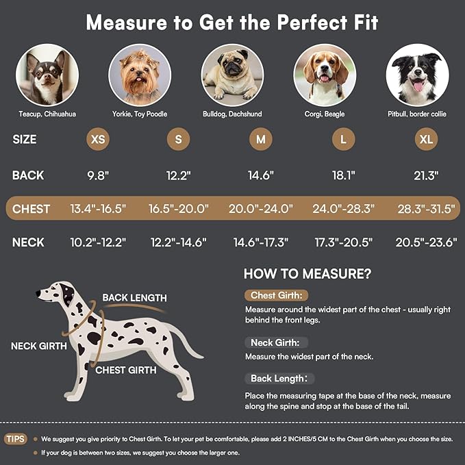 Queenmore Dog Winter Coat - Fleece Jacket, Waterproof Cold Weather Dog Clothes, Thick Warm Cotton Padding, Easy On Storage Pockets (Grey, Small)