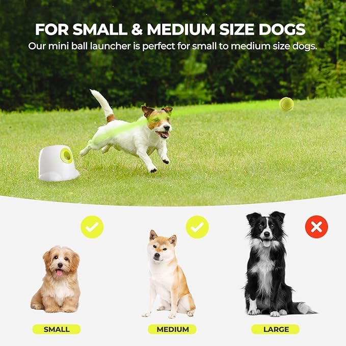 ALL FOR PAWS Automatic Dog Ball Launcher, Interactive Fetch Toy for Small to Medium Dogs, Rechargeable Pet Thrower Machine for Indoor & Outdoor Play, 3 Pcs 2-Inch Balls Included