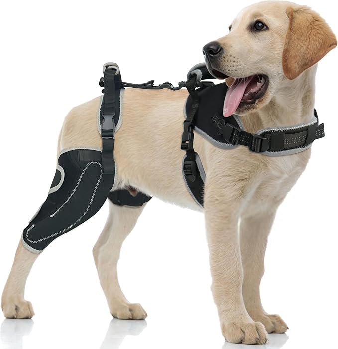 Dog Knee Support for ACL Tear Rehabilitation and Dislocated Patella -Adjustable Leg Support and Sufficient Breathability,Injury Recovery and Balance Assistance-Right Leg-XL Size