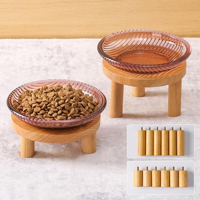 Cat Bowls Whisker Friendly with Wooden Stands. Raised Elevated Glass Whisker Fatigue Cat Bowl for Indoor Cats. 2PCS (Purple)