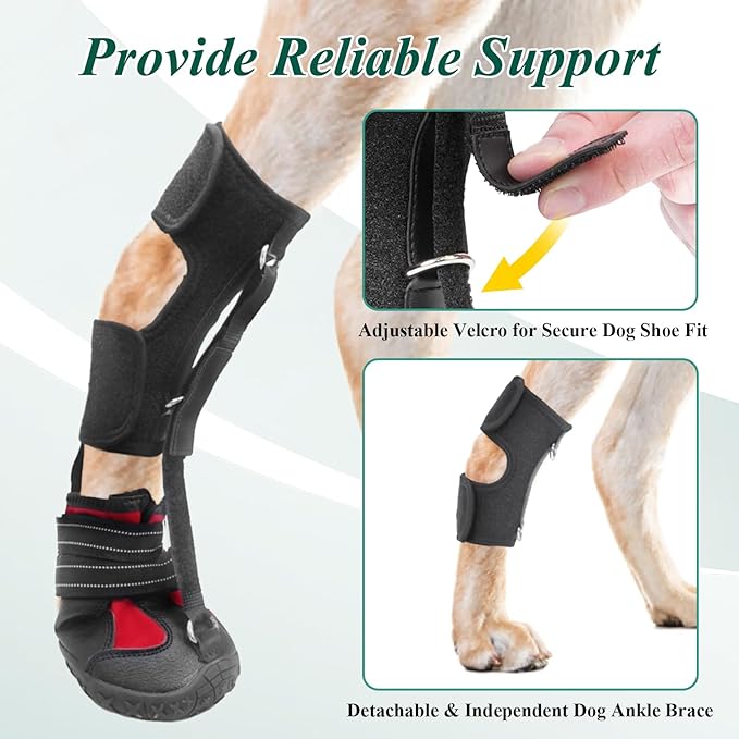 Strap-On Drop Foot Brace (No Knuckling Boot Brace) for Dogs— Corrective Dog Shoes to Safely Lift Toes for Foot Issues, Arthritis, and improving Walking gait in Dogs(XS)