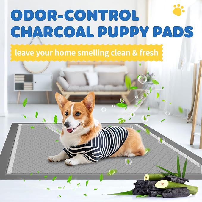 100-Pack X-Large Puppy Pads - 34'' x 28'' Pee Pads for Dogs Potty Training with Leak-Proof Quick-Dry Design, 6-Layer Wee Wee Pads for Dogs, Charcoal, Black