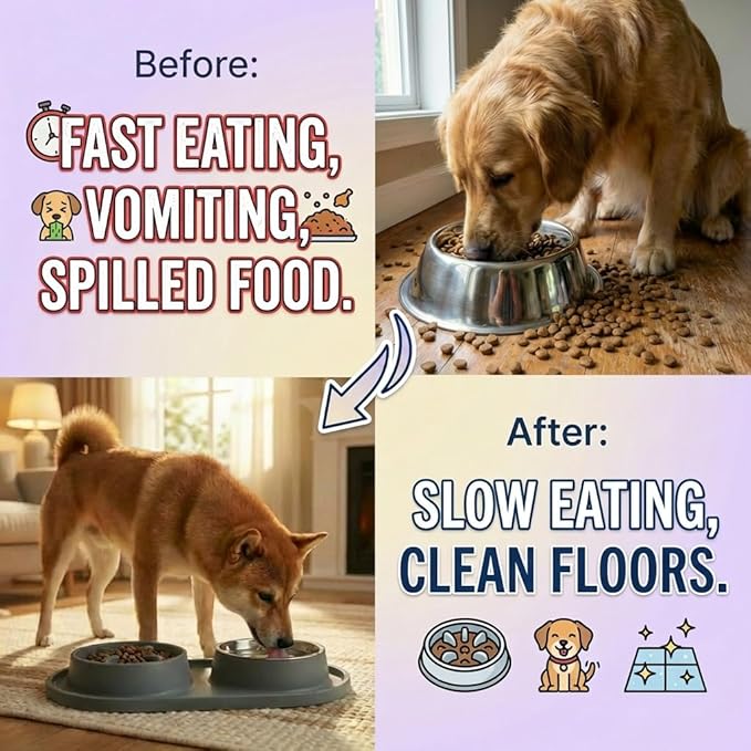 Slow Feeder Dog Bowls 2-in-1 Non-Spill - Anti-Slip Puzzle Feeder Dog Bowl with Stainless Steel Water Bowl, Dual Pet Food & Water Bowl Set for Bloat Prevention for Puppies Cat & Large Dogs