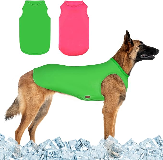 2 Pack Dog Cooling Shirts, Ice Pet Vest Dog Clothes for Instant Cooling, Lightweight Breathable Sleeveless T-Shirts for Large Dogs, Bright Red+Fresh Green (XL)