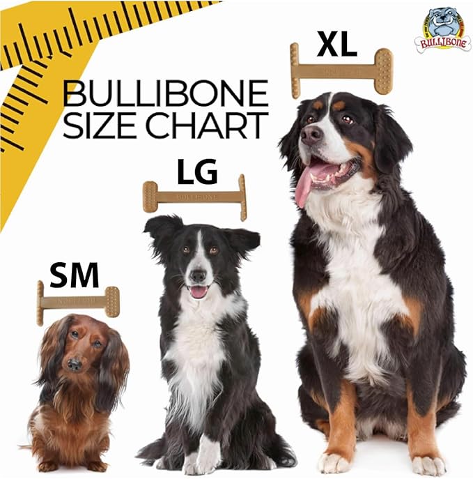 Bullibone Nylon Dog Chew Toy for Aggressive Chewers - Dental Hygiene Bone with Bacon Flavor, Durable Tough Chew Toys for Extra Large Dogs, Indestructible Dog Bone - 2 Pack