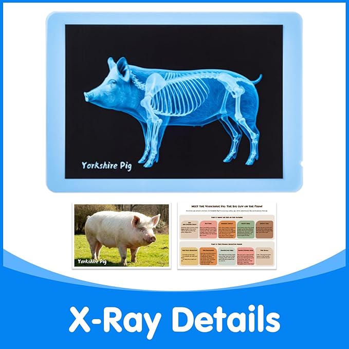 Farm Animal Xrays – 10 Pcs Animal Science Kit for Kids, Light Table Accessories for Vet Role Play & Preschool Learning