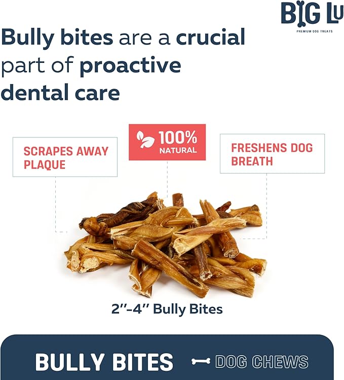 Big Lu - 2-4” Bully and Braided Sticks Variety Bag - 1 lb of 100% Grass-Fed Beef Chews for Small and Medium Dogs, Natural, Fully Digestible, Long-Lasting Treats